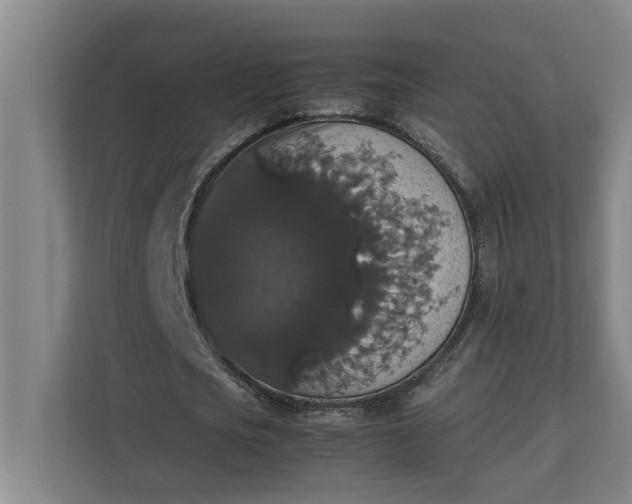 X0000112830721200909041502