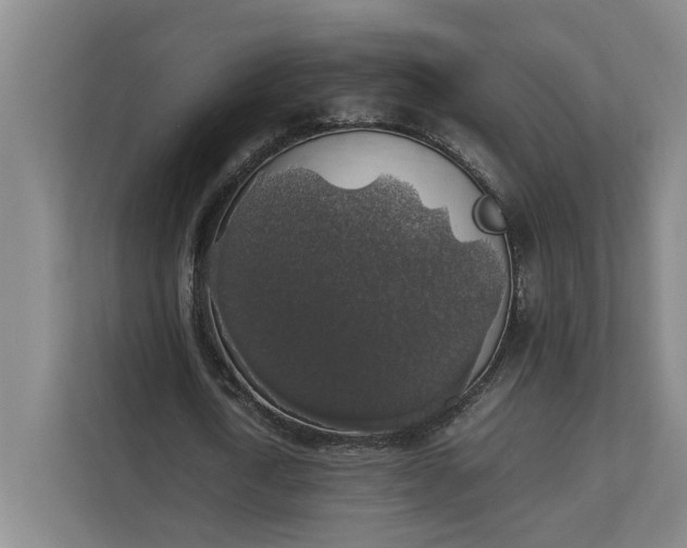 X0000112830722200909041502