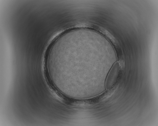 X0000112830724200909041502