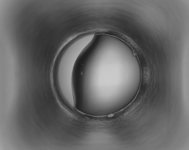 X0000112830726200909041502