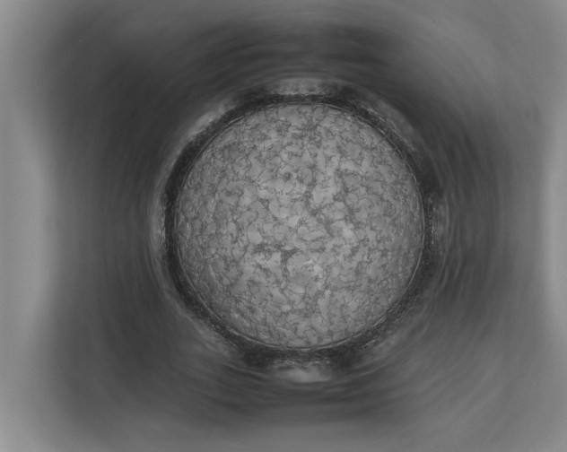 X0000112830727200909041502