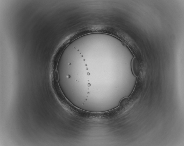 X0000112830728200909041502