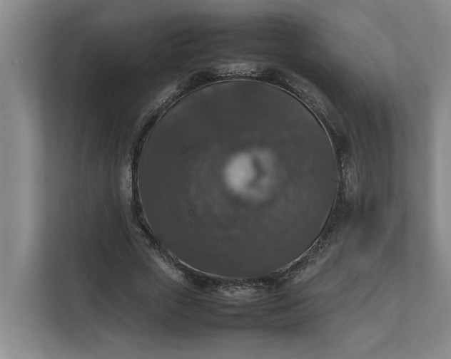 X0000112830729200909041502