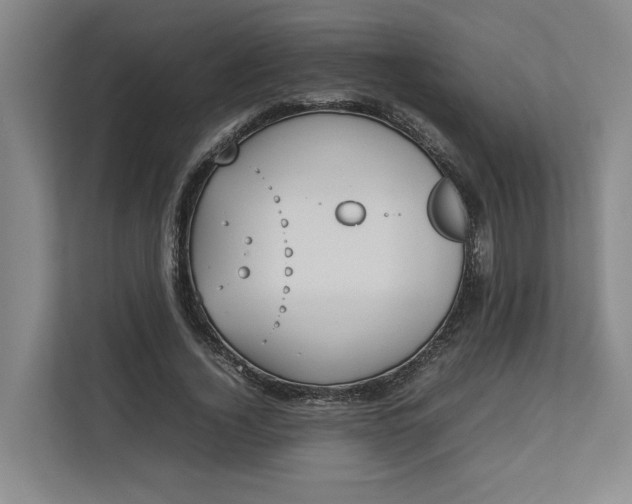 X0000112830732200909041502