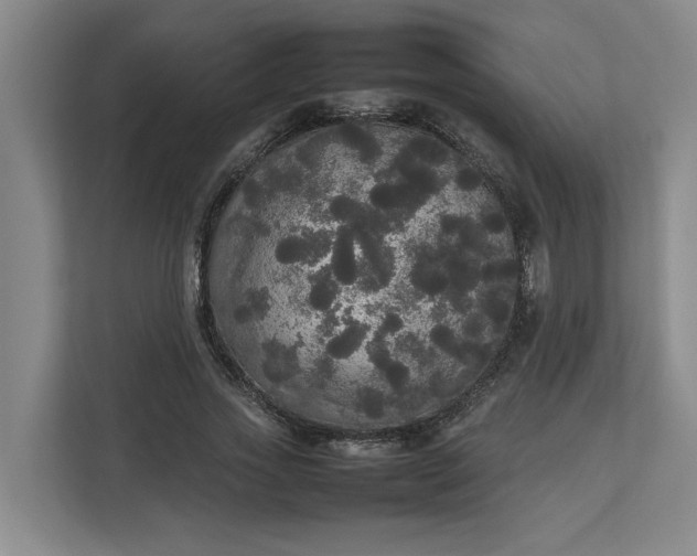 X0000112830733200909041502