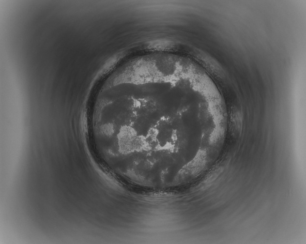 X0000112830734200909041502