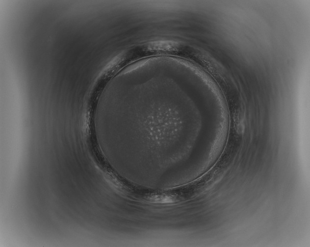 X0000112830735200909041502