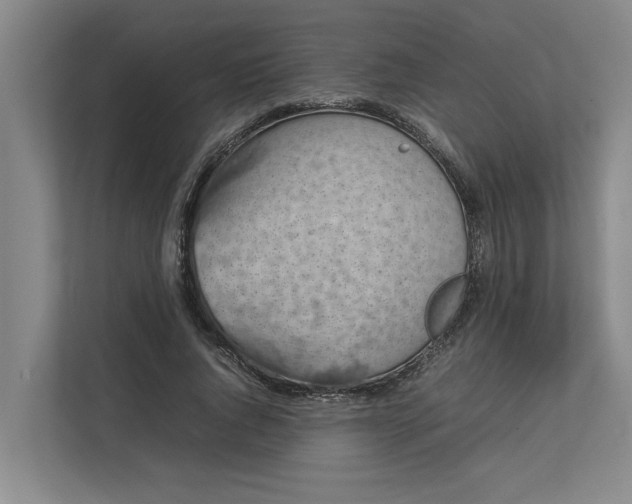 X0000112830736200909041502