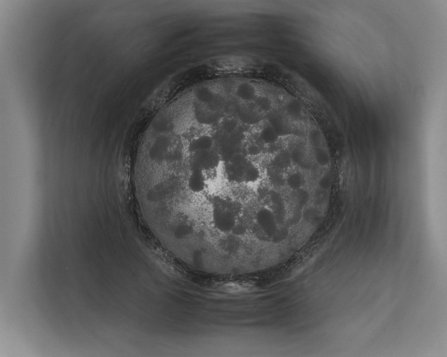 X0000112830737200909041502