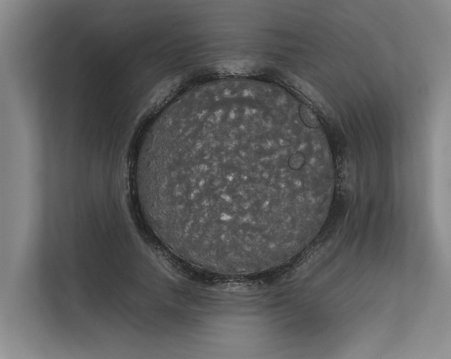 X0000112830738200909041502