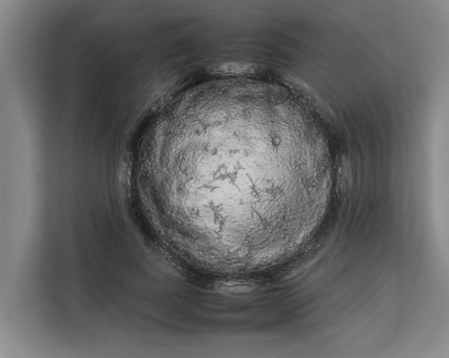 X0000112830739200909041502