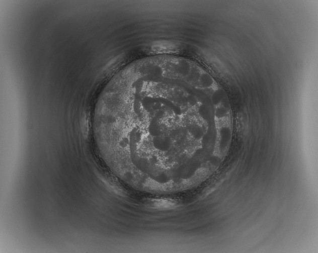 X0000112830741200909041502