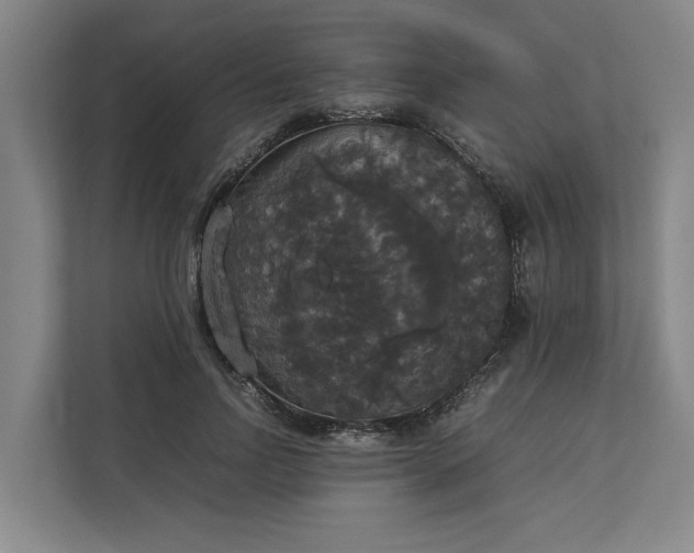 X0000112830742200909041502