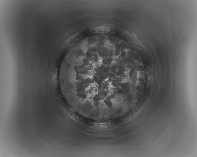 X0000112830745200909041502