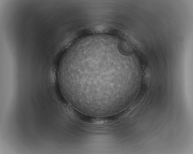 X0000112830746200909041502