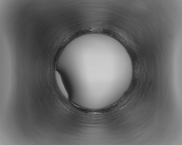 X0000112830748200909041502