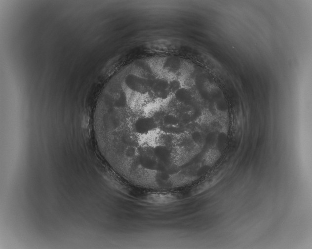 X0000112830749200909041502