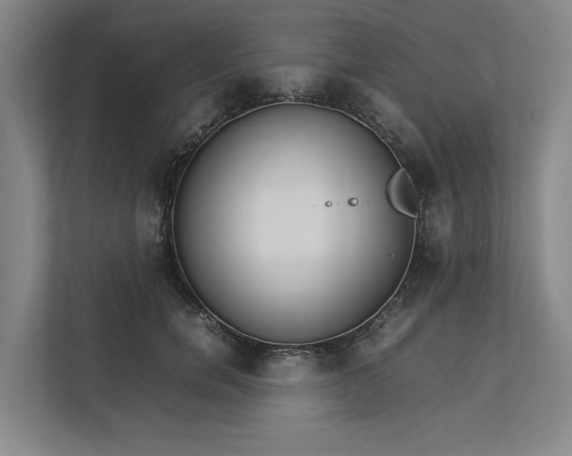 X0000112830750200909041502