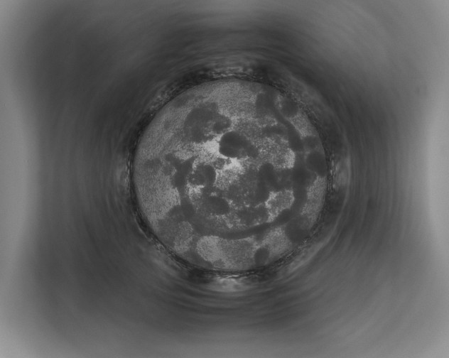 X0000112830753200909041502