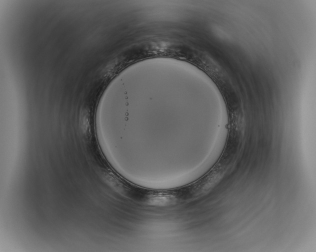 X0000112830754200909041502