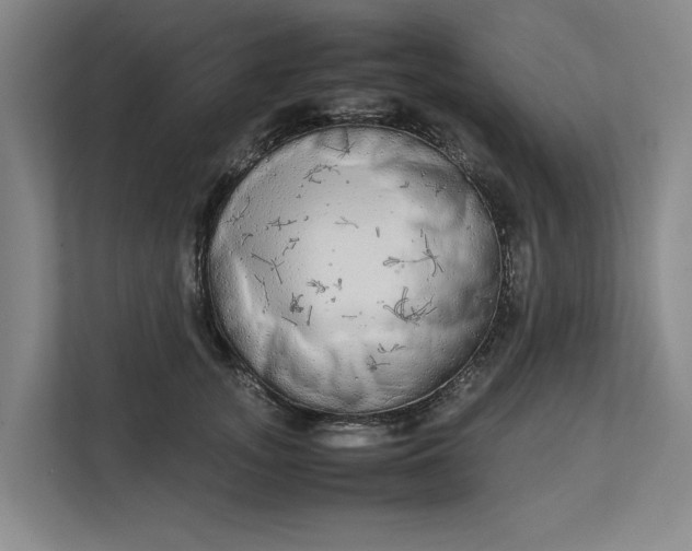 X0000112830755200909041502