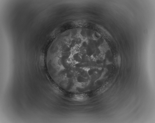 X0000112830757200909041502