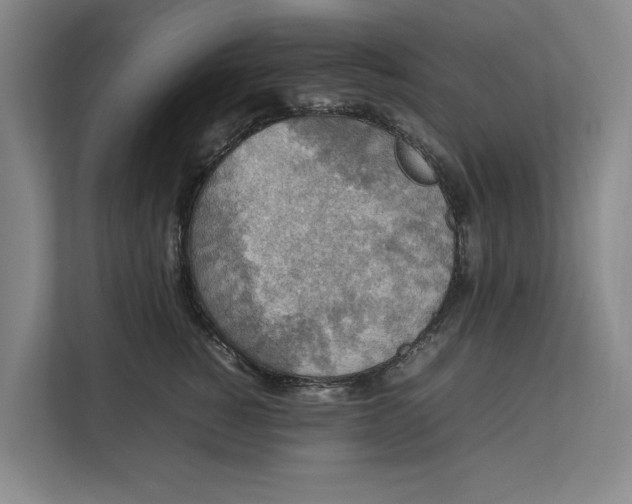 X0000112830760200909041502