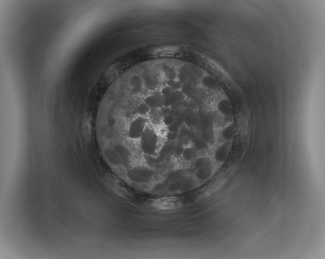 X0000112830761200909041502