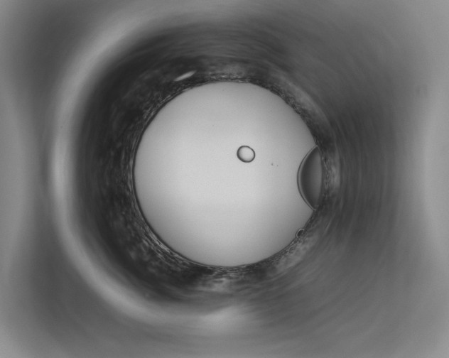 X0000112830764200909041502