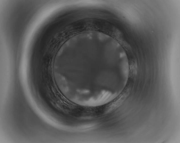 X0000112830765200909041502