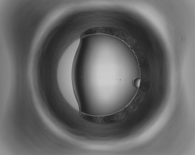 X0000112830766200909041502