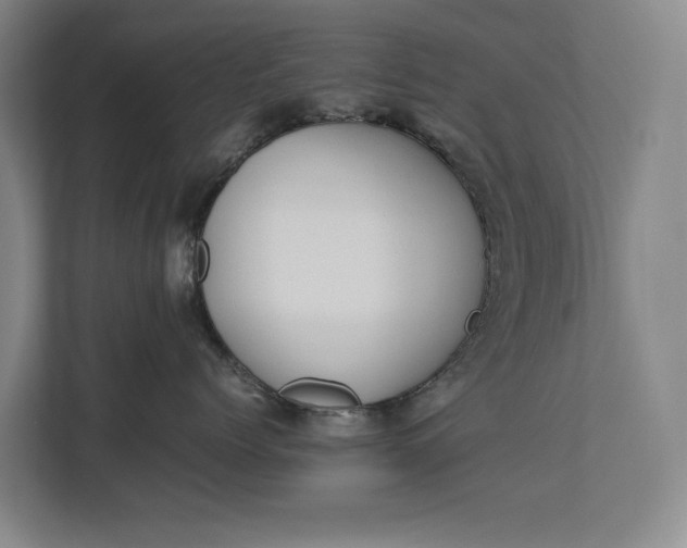 X0000112830768200909041502