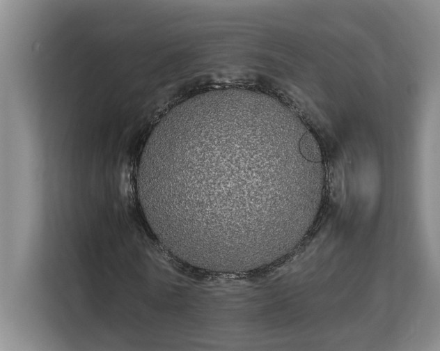 X0000112830770200909041502