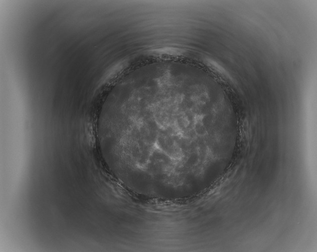 X0000112830774200909041502