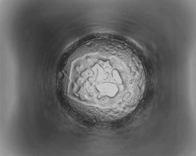 X0000112830775200909041502