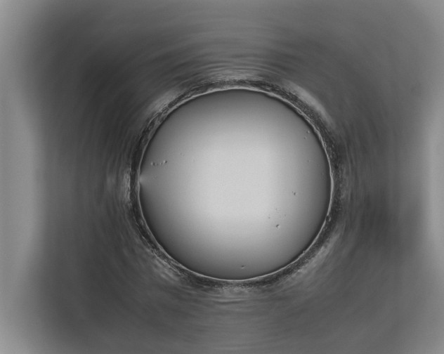 X0000112830777200909041502