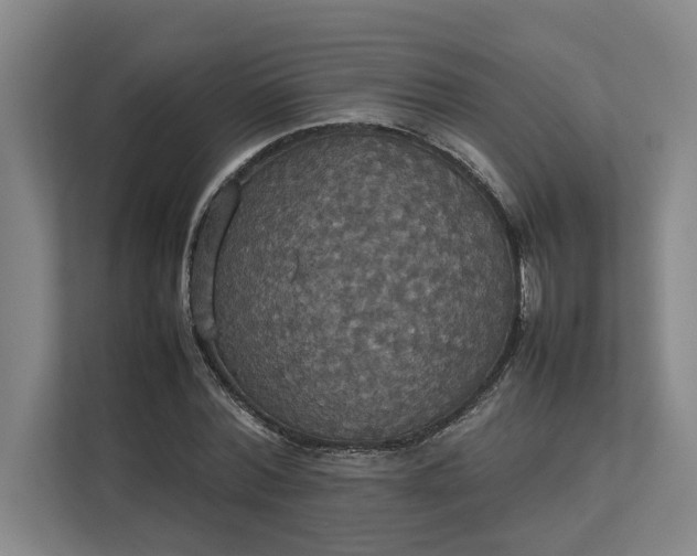 X0000112830780200909041502