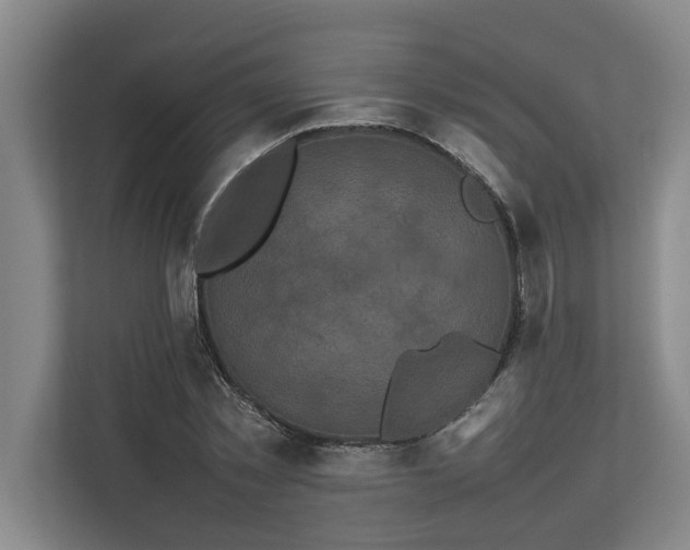 X0000112830781200909041502