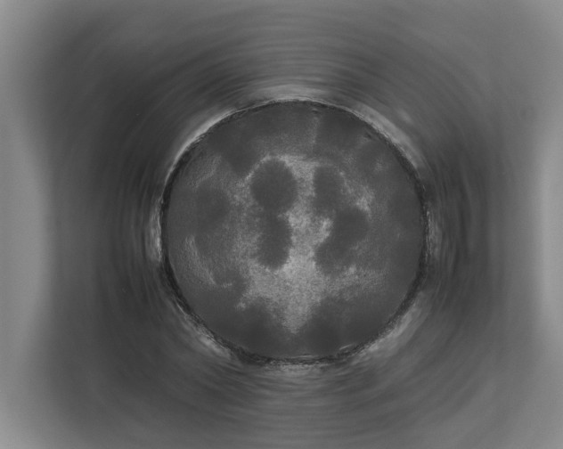 X0000112830782200909041502