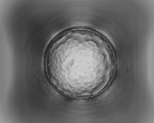 X0000112830783200909041502