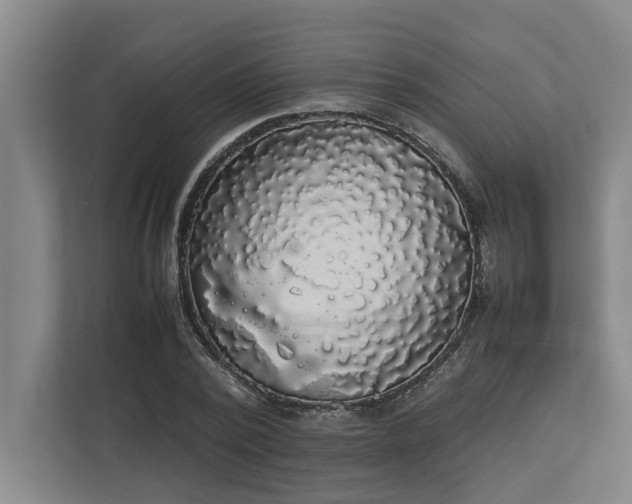 X0000112830784200909041502