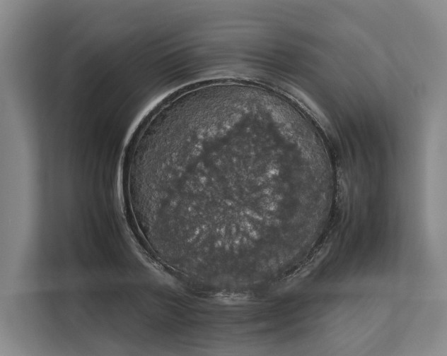 X0000112830788200909041502