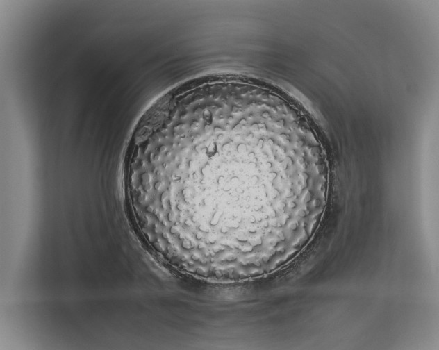 X0000112830791200909041502