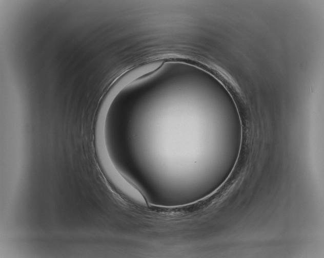 X0000112830793200909041501