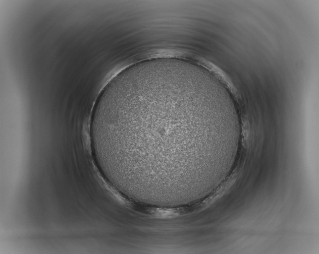 X0000112830794200909041501