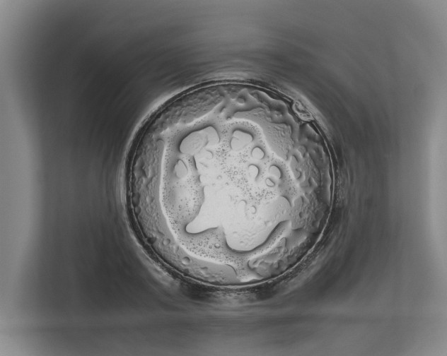 X0000112830795200909041501