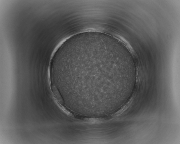 X0000112830796200909041501