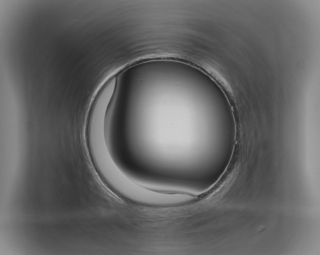 X0000112830797200909041501