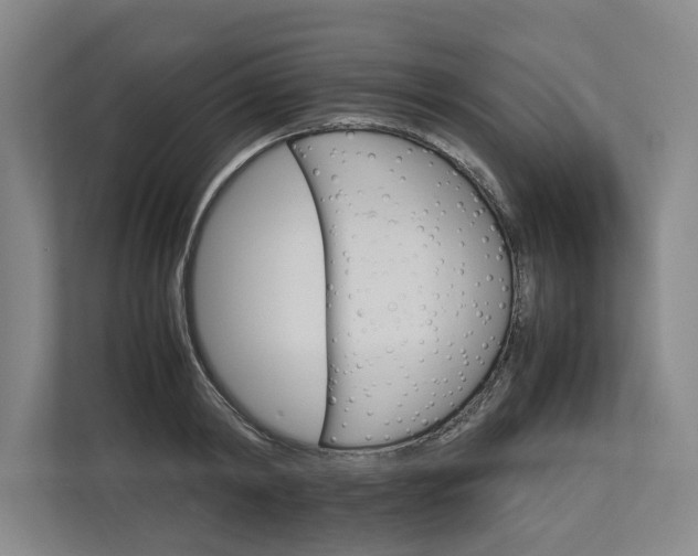 X0000112830798200909041501