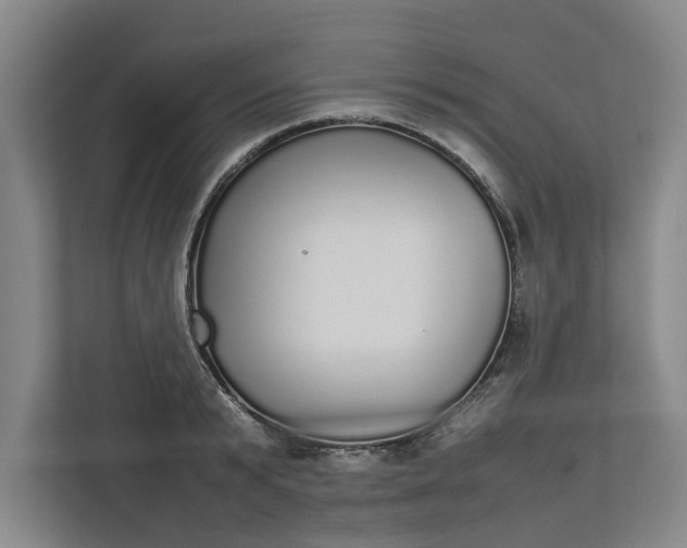 X0000112830799200909041501